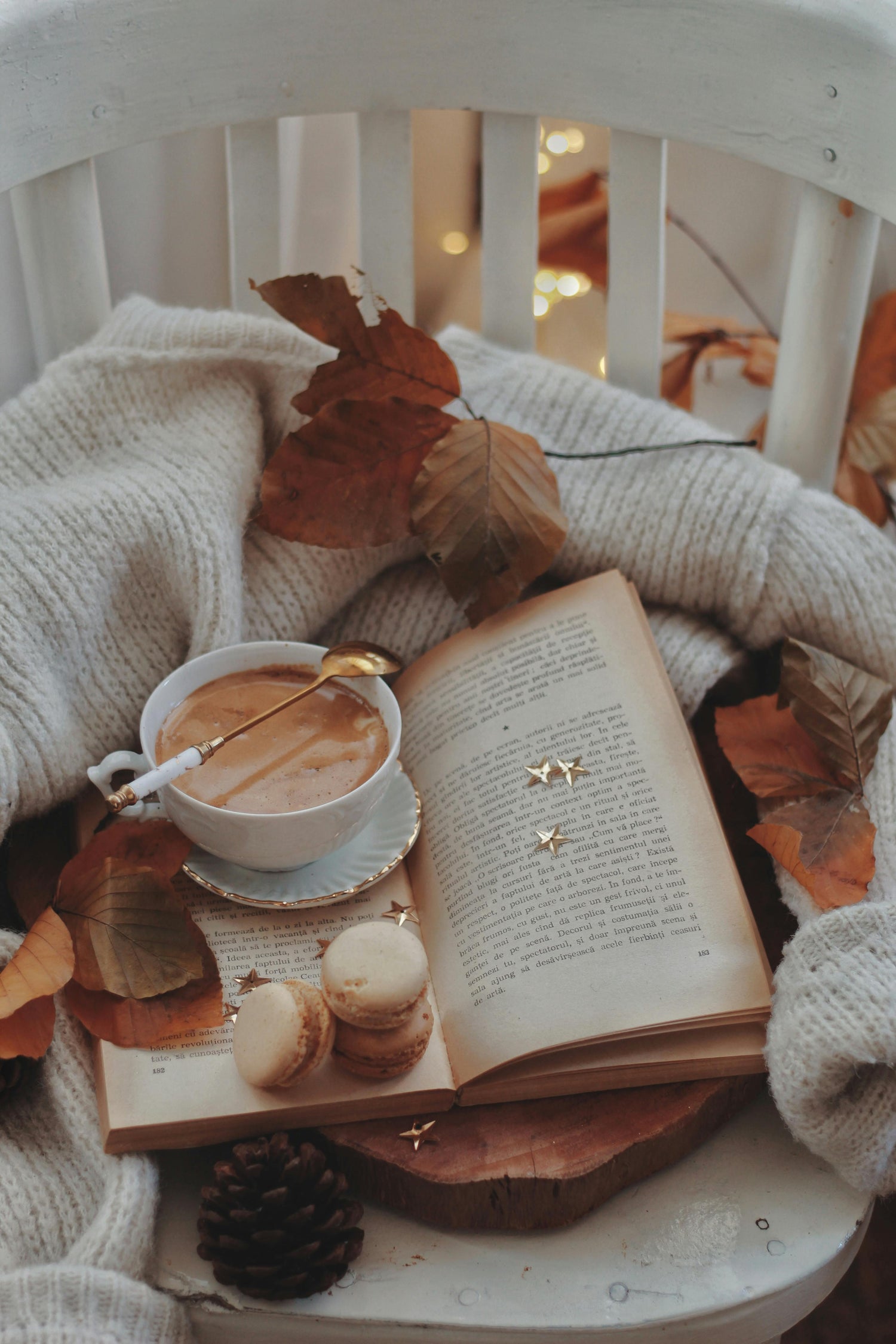Autumn Glow Collection